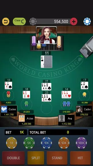 World Blackjack King screenshot 3