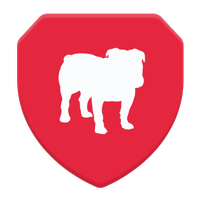 BullGuard VPN APK