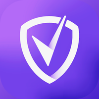 You VPN APK