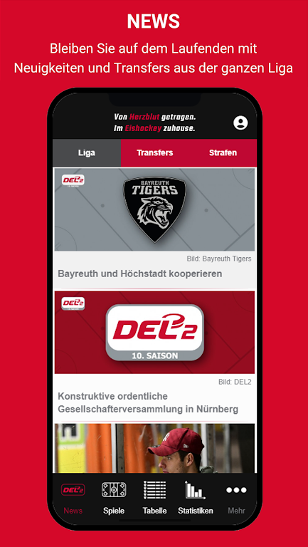 Deutsche Eishockey Liga 2 screenshot 1