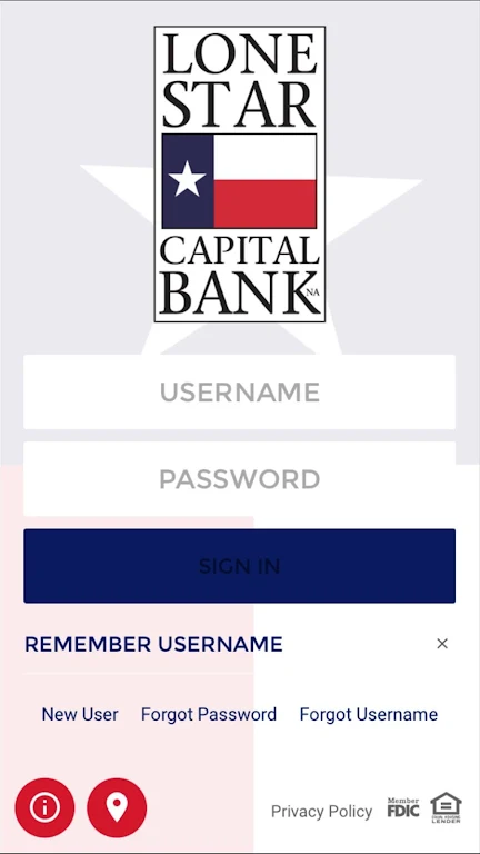 Lone Star Capital Bank screenshot 1