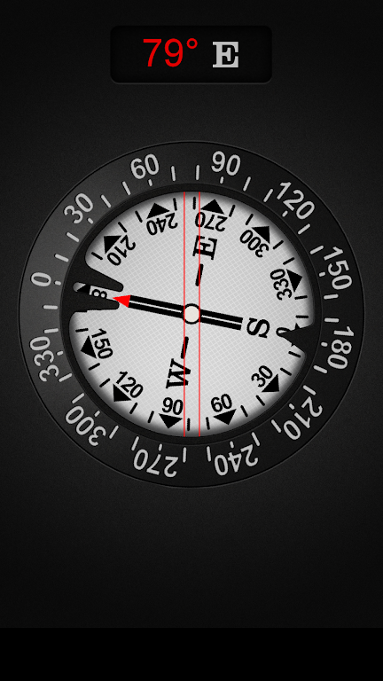 Compass Pro Mod screenshot 2