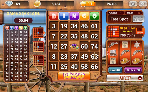 Wild Bingo - FREE Bingo+Slots screenshot 1