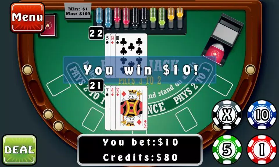 Blackjack Fever screenshot 3