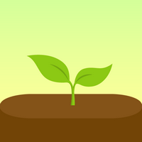 Forest: Focus for Productivity Mod APK