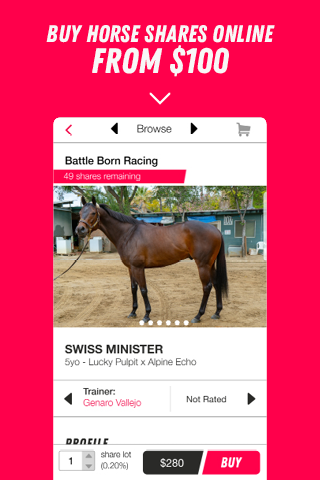 MyRacehorse screenshot 4