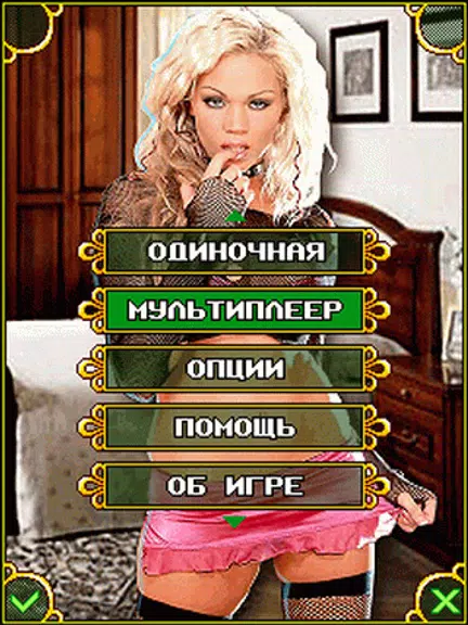 Дурак 3: Interactive screenshot 3