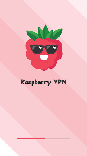 raspberry VPN screenshot 4