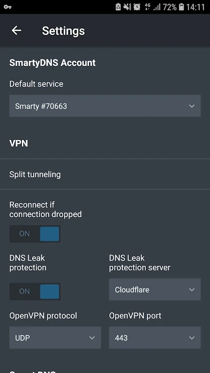 SmartyDNS - VPN and Smart DNS screenshot 3