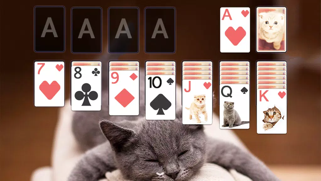 Solitaire Cute Cats Theme screenshot 3