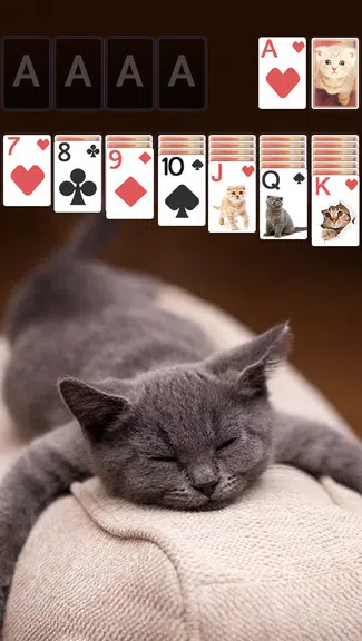 Solitaire Cute Cats Theme screenshot 1