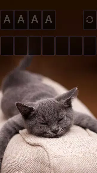 Solitaire Cute Cats Theme screenshot 2