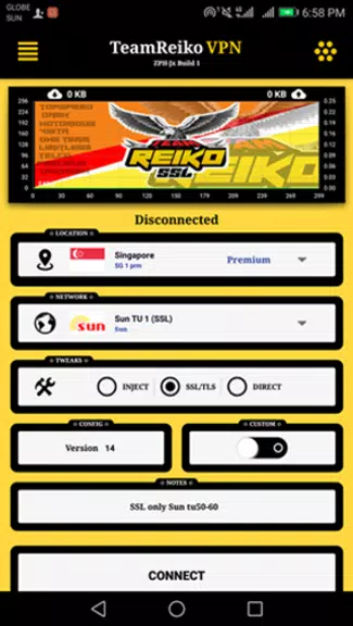 TeamReiko SSL VPN screenshot 2