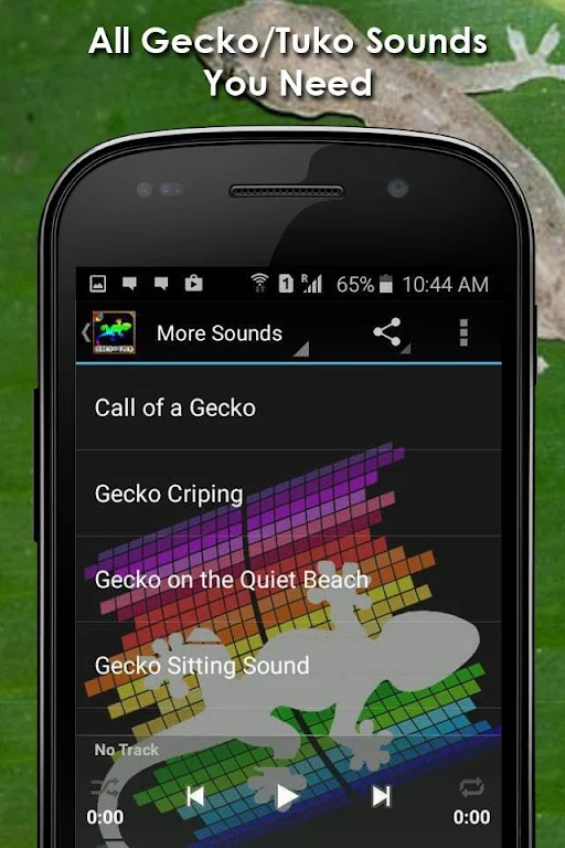 Gecko Tuko Sounds Free screenshot 1