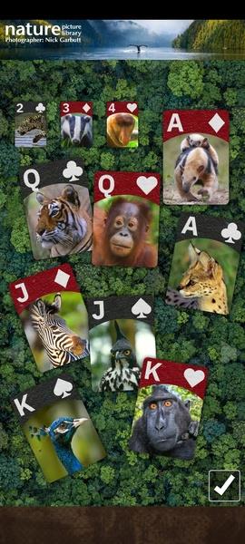 FLICK SOLITAIRE - FLICKING GREAT NEW CARD GAME screenshot 5