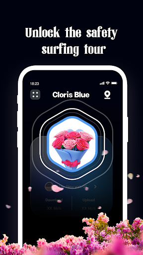 Cloris Blue VPN screenshot 1