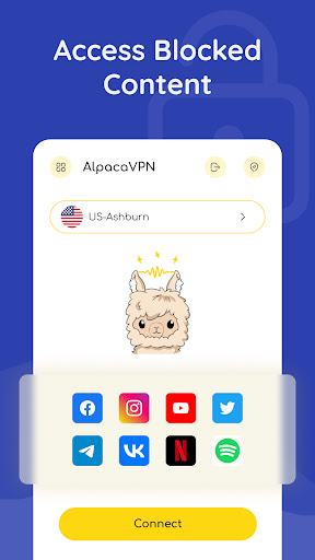 Alpaca VPN proxy master screenshot 1