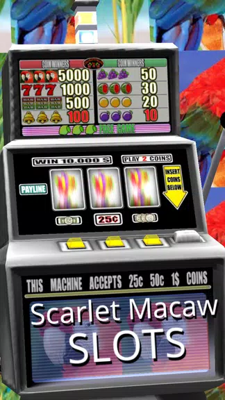 Scarlet Macaw Slots - Free screenshot 3