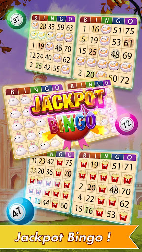 Bingo Hero Offline Bingo Games screenshot 3