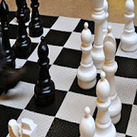 Chess Titans 3D: free offline game APK