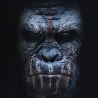 Planet of the Apes Wallpapers APK