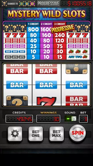 Mystery Wild Slot Machine screenshot 2