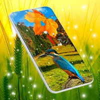 Parallax Nature Live Wallpaper APK