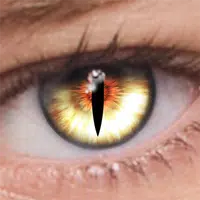 FoxEyes - Change Eye Color APK