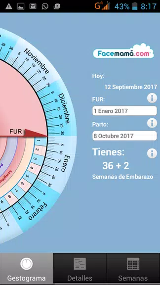 Pregnancy Weeks Calculator screenshot 1