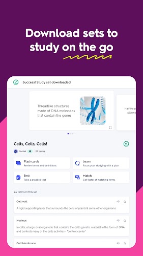 Quizlet: AI-powered Flashcards screenshot 13