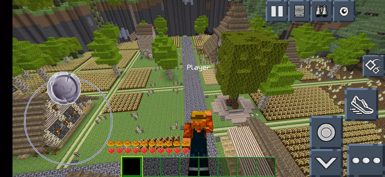 CubeCraft Castle Adventure screenshot 3