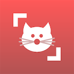 Cat Scanner APK