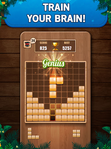 Wooden 100 Block Puzzle Game screenshot 1