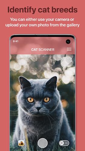 Cat Scanner screenshot 1