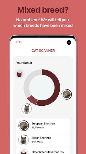 Cat Scanner screenshot 2