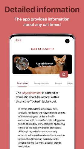 Cat Scanner screenshot 8