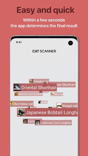 Cat Scanner screenshot 3