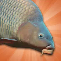 Carp Fishing Simulator APK