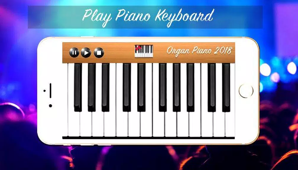 Organ Piano 2020 screenshot 1