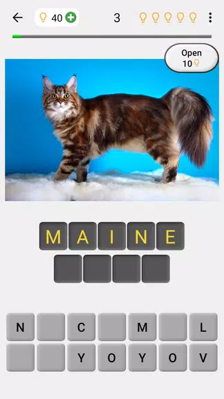 Cats Quiz Guess Popular Breeds screenshot 1