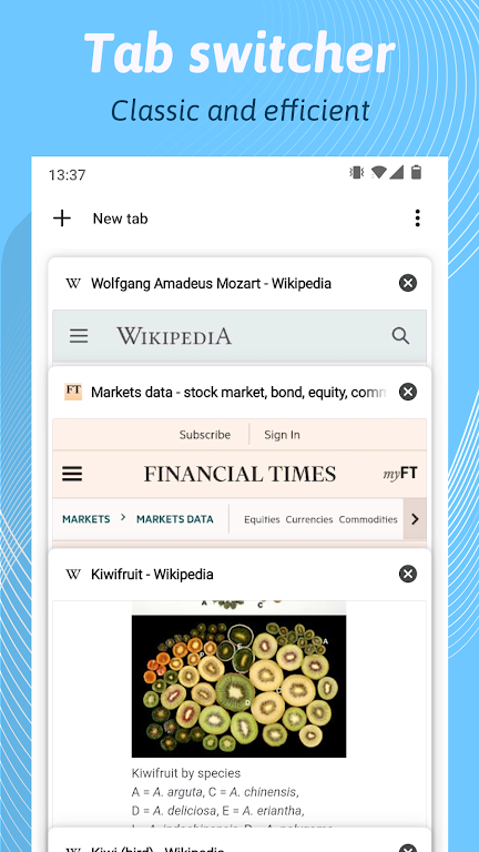 Kiwi Browser screenshot 2