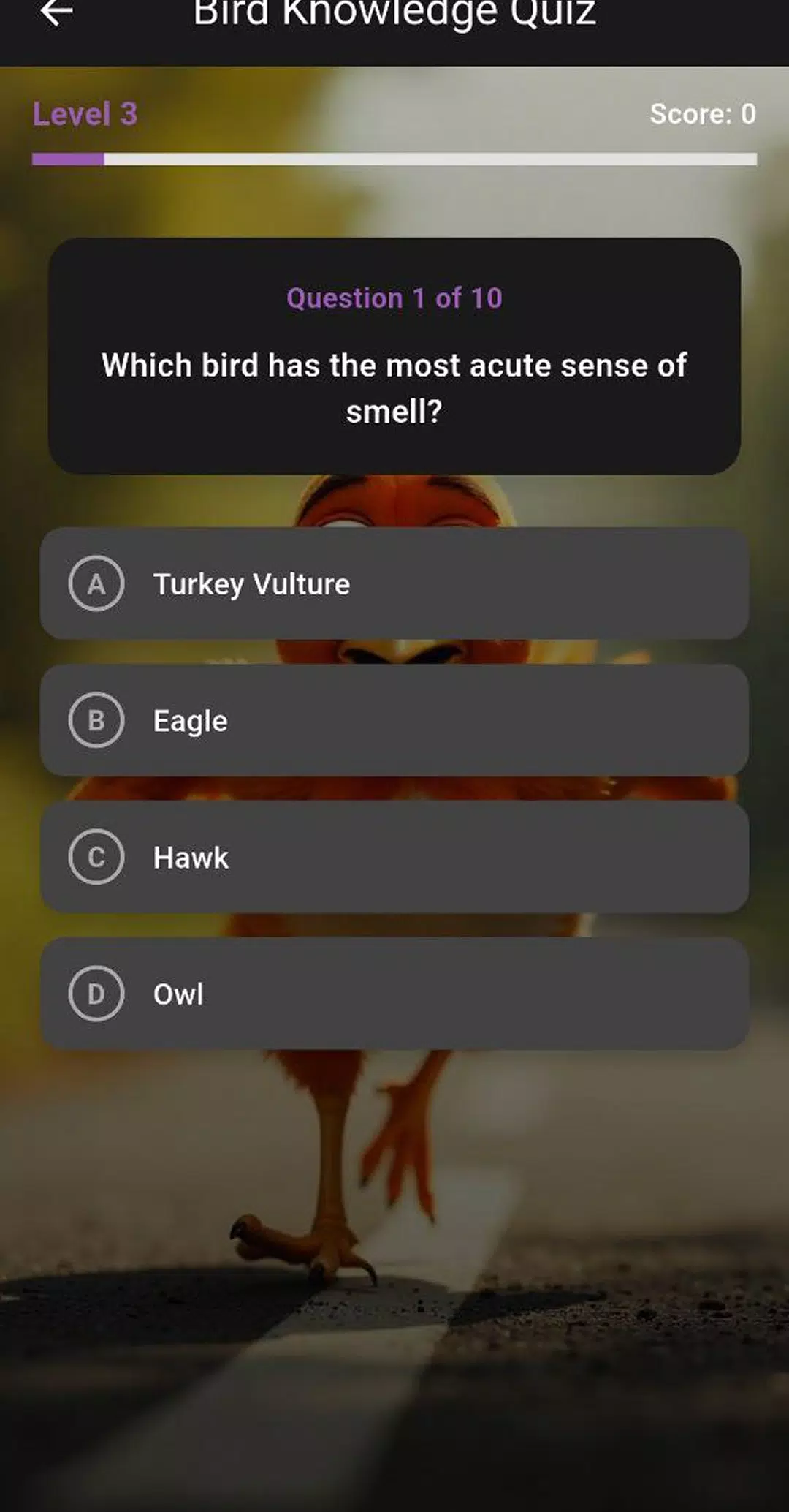 Chicken Road & Cross Game screenshot 7