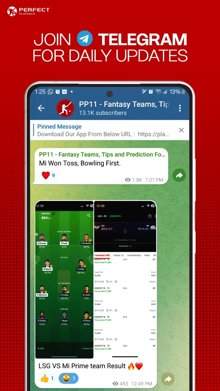 PP11 screenshot 5