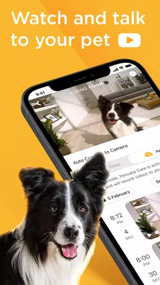 Petcube screenshot 1