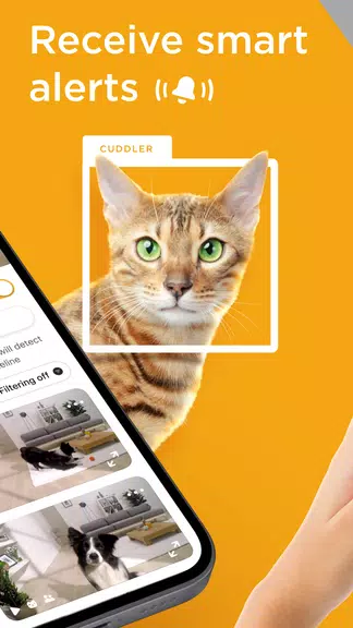 Petcube screenshot 2