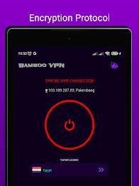 Bamboo VPN screenshot 7