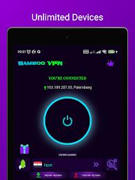 Bamboo VPN screenshot 12