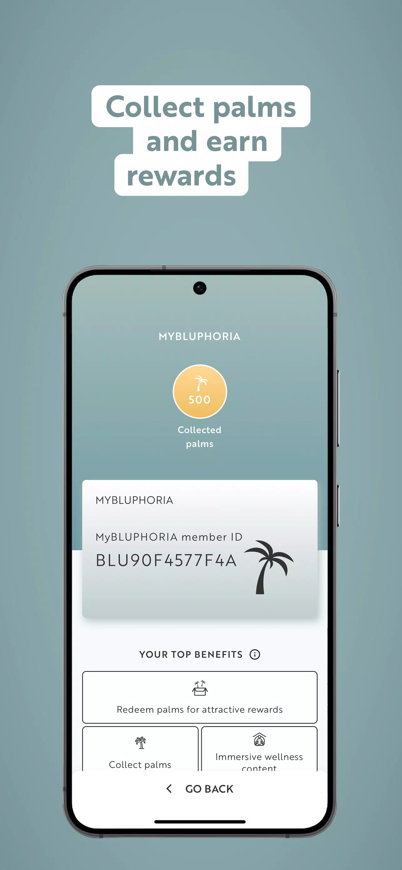 BLUPHORIA screenshot 4