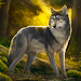 The Wolf Simulator APK