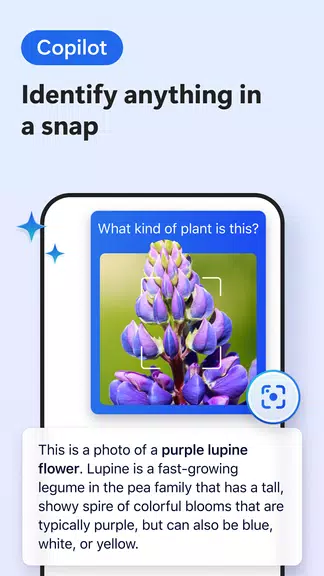Microsoft Edge Canary screenshot 4